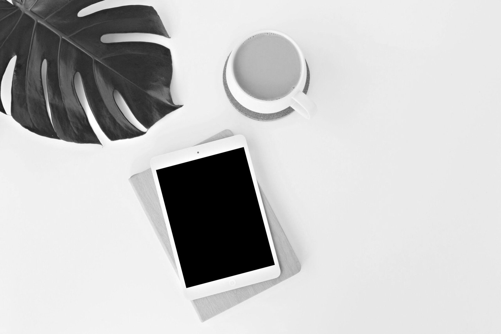 leone-venter-pVt9j3iWtPM-unsplash